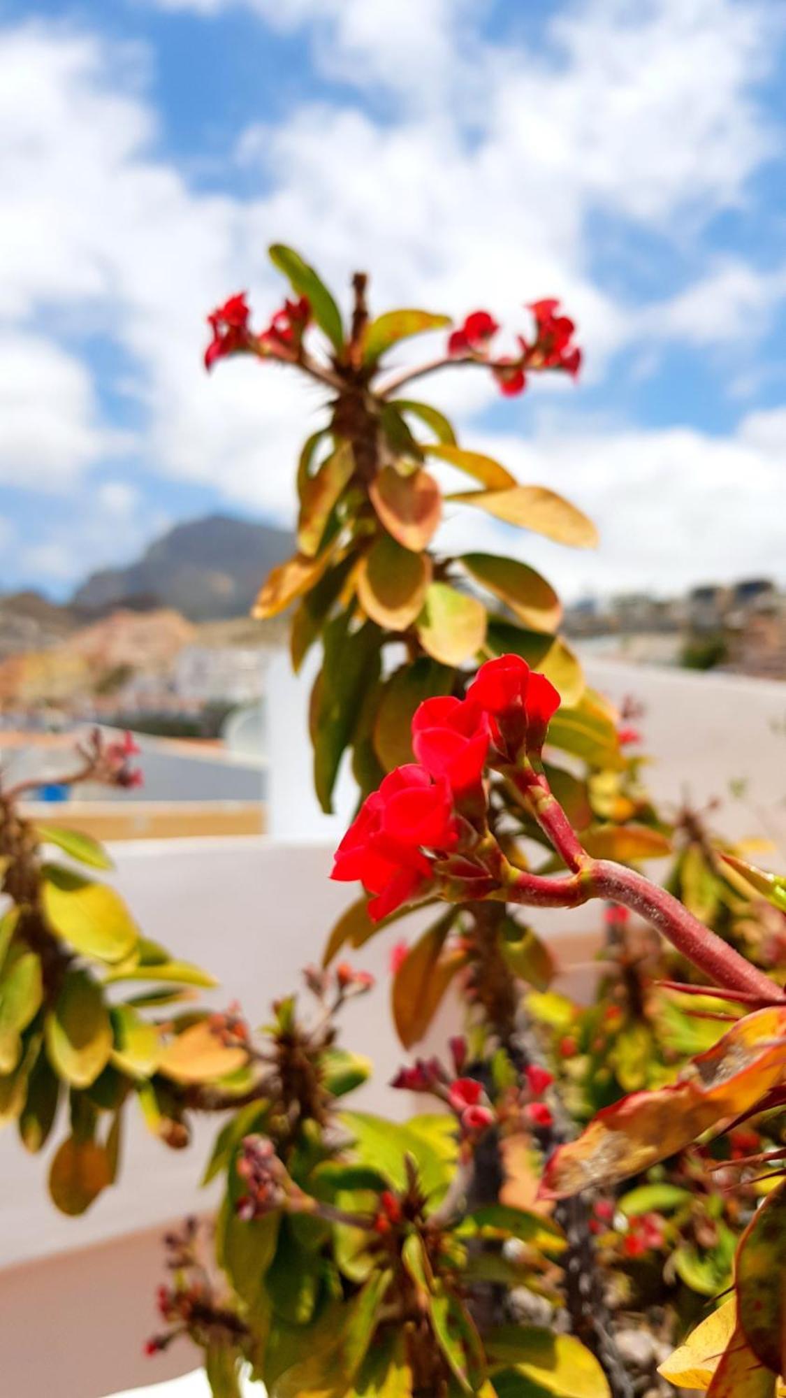 Warm, Cozy And Comfortable Costa Adeje  Εξωτερικό φωτογραφία